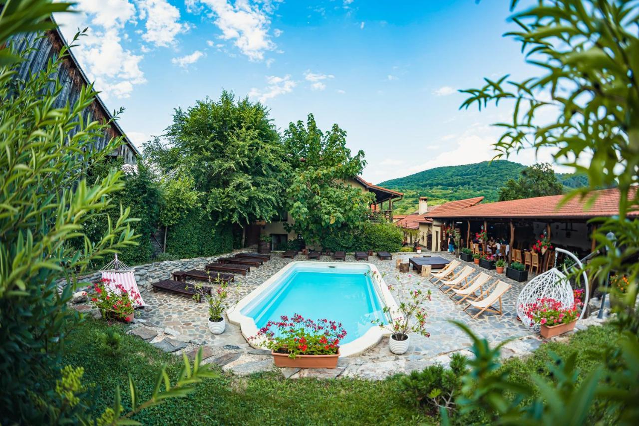 Casa Dives - Transylvania Pianu de Sus Zewnętrze zdjęcie